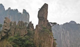 黄山奇石ppt 黄山奇石ppt