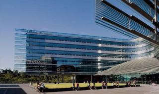 新西兰羊品种排名 新西兰山脉排名